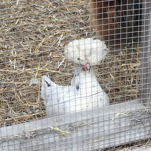 Meet your Posher, Jacob